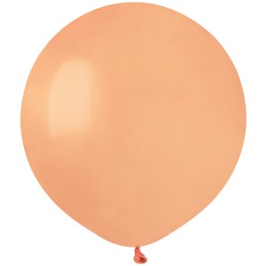 10 Ballons Pêche Mat Ø48cm