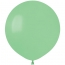10 Ballons Vert menthe Mat 48cm