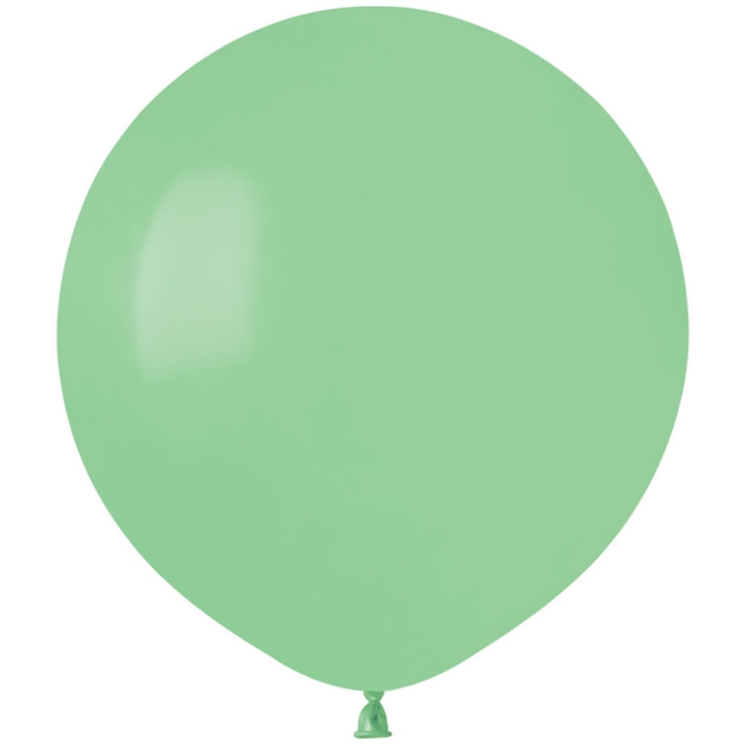 10 Ballons Vert menthe Mat 48cm 