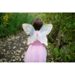 Dguisement Papillon Robe Dor & Ailes Taille 5-7 ans. n2