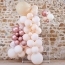 Kit Arche de 70 Ballons & Pampas - Rose Gold Brillant Pche et Crme