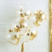 5 Ballons Confettis Etoiles - Or. n3