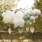 Guirlande de Ballons avec Eventails Palmier - Sauge/Crème images:#0