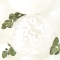10 Branches Eucalyptus Botanical Hey Baby images:#1