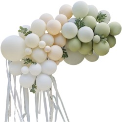 Kit Arche de 70 Ballons - Taupe,  Pche et Sauge avec Eucalyptus,  Feuillages et Serpentins. n1