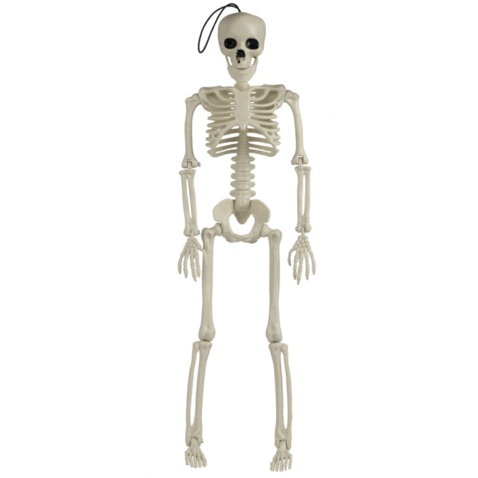 Dcoration Squelette  Suspendre ou  Poser - 35 cm 