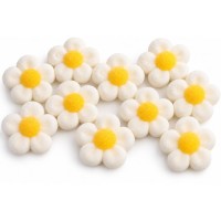 10 Fleurs Marshmallow - Blanc