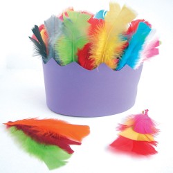 150 Plumes Multicolores. n1