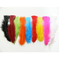 150 Plumes Multicolores. n2