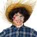 4 Crayons de Maquillage Nature - Booh!. n2