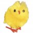 4 Mini Poussins Peluche Couleurs