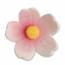 2 Fleurs Roses (4 cm)  - Sucre
