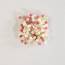 50g Mini Etoiles  parsemer - sucre