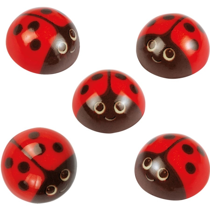 5 Coccinelles 2D (2, 6 cm) - Chocolat 