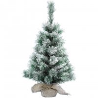 Mini Sapin Enneig Vancouver (45 cm)