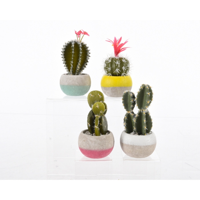 1 Mini Cactus Deco (13 cm) - Mousse 