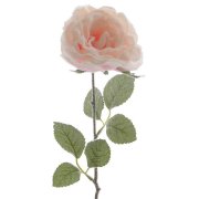 Rose Givrée sur Tige (44 cm)