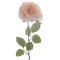 Rose Givrée sur Tige (44 cm) images:#0