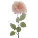 Rose Givrée sur Tige (44 cm). n°1