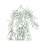 Branche Sapin Asperge enneigé (50 cm) - Plastique