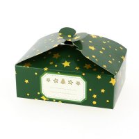 6 Botes Cadeaux Vert Sapin Etoile/Uni - Carton
