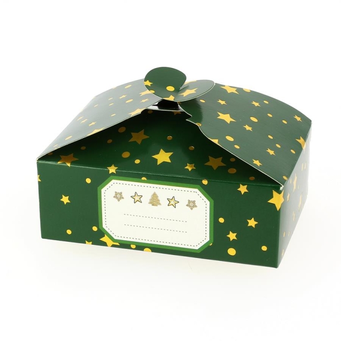 6 Botes Cadeaux Vert Sapin Etoile / Uni - Carton 