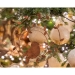 Couronne Oiseau Mtal  Suspendre. n2