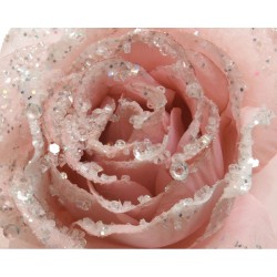 Rose sur Clip Paillettes - Rose Poudr. n1