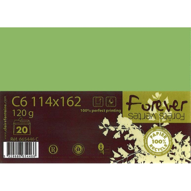 Paquet de 20 Enveloppes Forever - Vert 