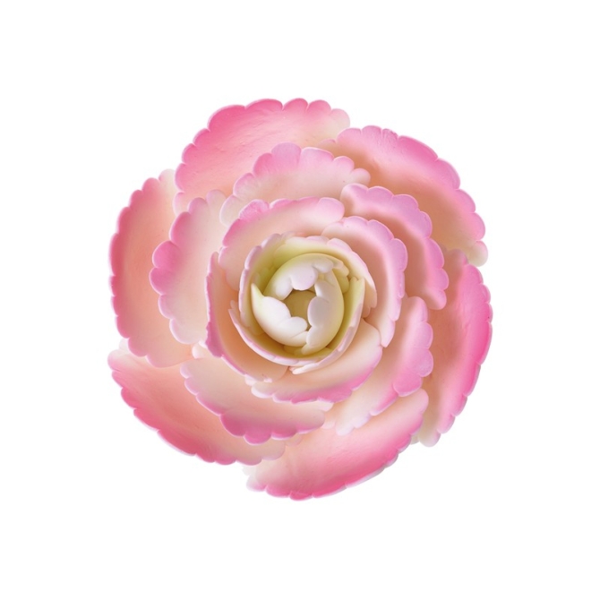 Grande Anmone rose dcorative 