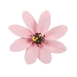 1 Grande Fleur Marguerite Rose (12 cm) - Non comestible