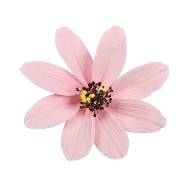 1 Grande Fleur Marguerite Rose (12 cm) - Non comestible 