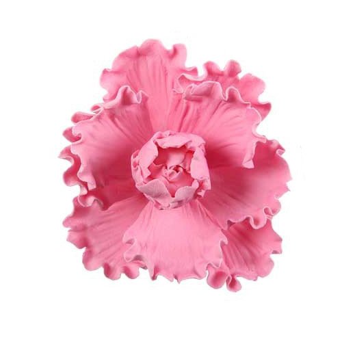 1 Fleur Oeillet Rose (5 cm) - Non comestible 