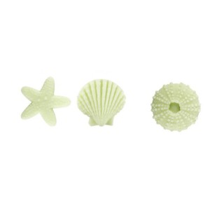 3 Assortiments de Coquillage Vert - Sucre