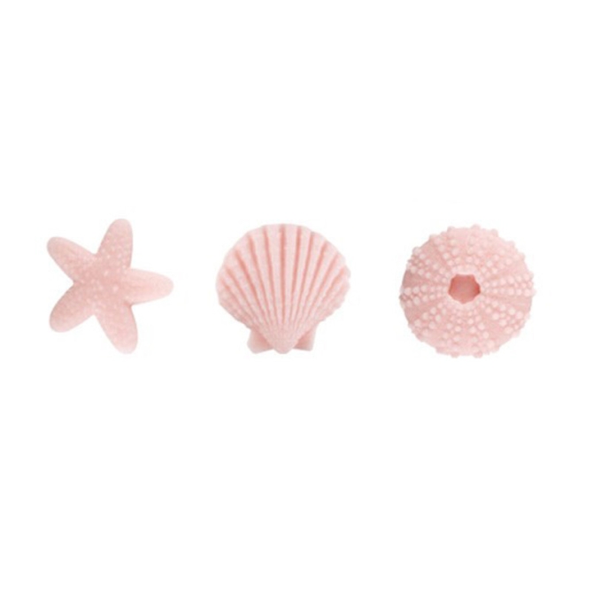 3 Assortiments de Coquillage Rose - Sucre 