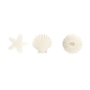 3 Assortiments de Coquillage Blanc - Sucre