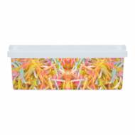 Vermicelles en azyme  parsemer (multicolore)