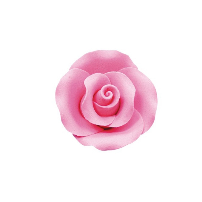1 Grande Rose Rose Clair - Sucre 