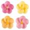 4 Fleurs Elise - Azyme images:#0