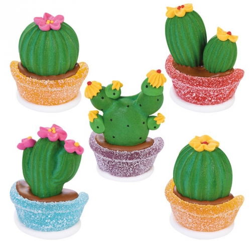 1 Cactus Sucre Gelifie 6 Cm Pour L Anniversaire De Votre Enfant Annikids