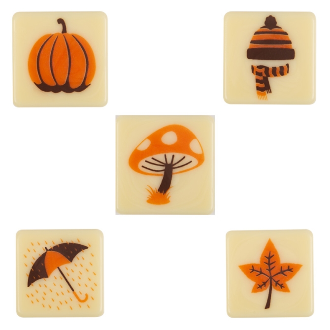 5 Plaquettes Automne (2, 5 cm) - Chocolat Blanc 