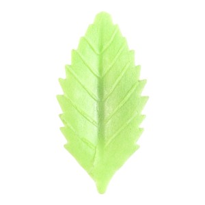 10 Feuilles Vertes Azyme - 4 cm