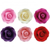 1 Rose - 2,5 cm Rose Ple