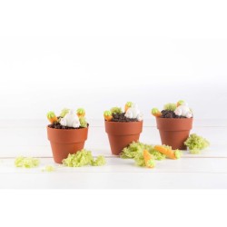 2 Minis Pots de Fleurs (2, 8 cm) - Chocolat. n1