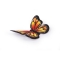 2 Papillons 3D (3,5 cm) - Sucre images:#1