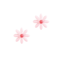 2 Petites Marguerites Rose ( 2 cm) - Sucre
