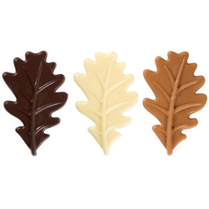 Set de 3 Grandes Feuilles d'Hiver  7 cm - Chocolat