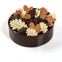 Set de 3 Grandes Feuilles d Hiver  7 cm - Chocolat. n1