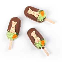 8 Carottes (2, 5 cm) - Chocolat Blanc. n1