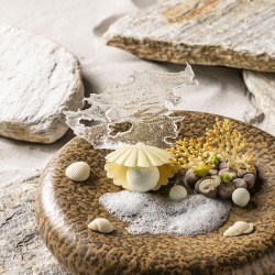 2 Coquillages (6, 3 cm) � Chocolat Blanc. n�2